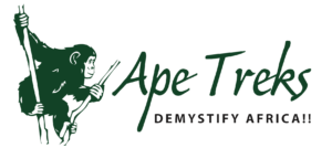 Ape Treks – Demystify Africa!!