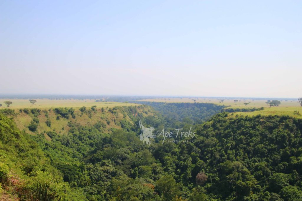 Kyambura; A Mystery Worth Exploring!