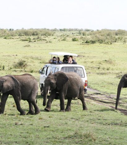 Apetreks - Customized, budget friendly safaris to East Africa